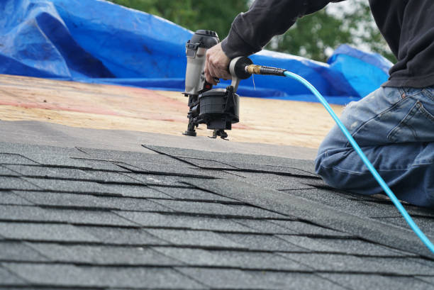 Roof Moss and Algae Removal in Chalfont, PA